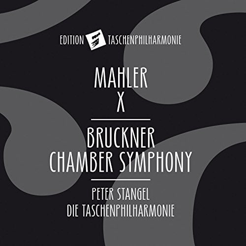 Bruckner: String Quintet in F Major (Arr. for Chamber Orches