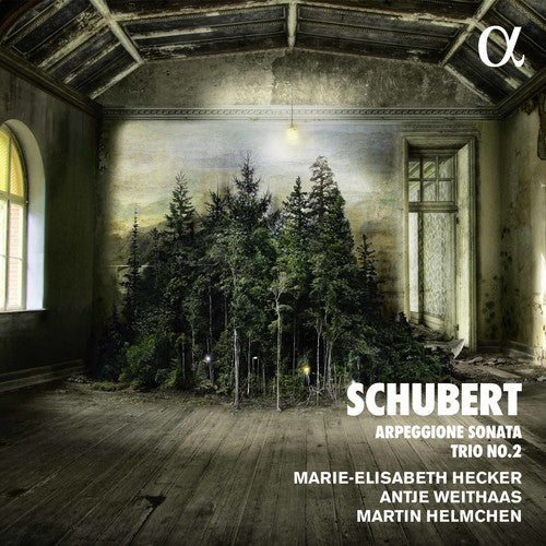 Schubert: Arpeggione Sonata & Trio No. 2 / Hecker, Weithaas, Helmchen