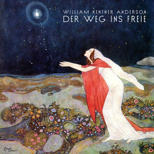 Anderson: Der Weg Ins Freie
