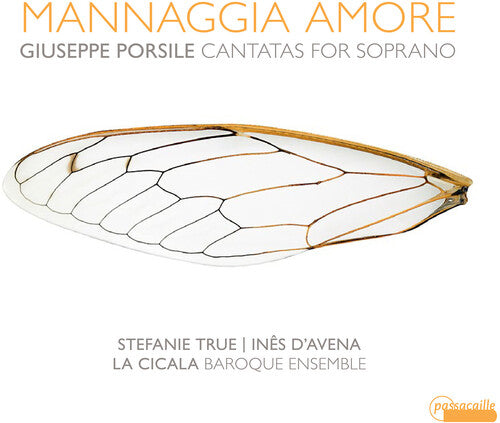 Porsile: Mannaggia Amore / True, D'Avena, La Cicala