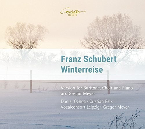 WINTERREISE OP 89