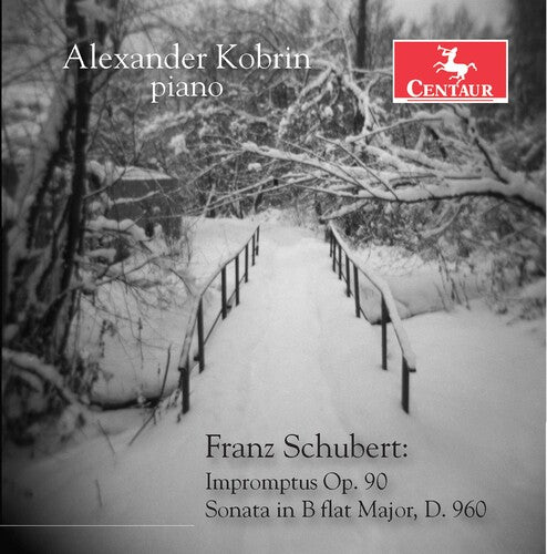 Franz Schubert: Impromptus Op. 90 - Sonata in B flat Major,