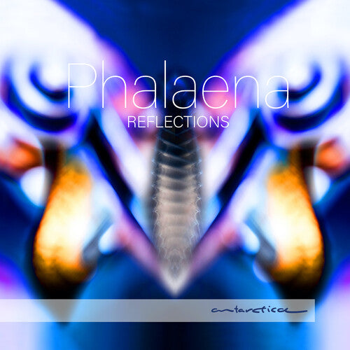 Reflections / Phalaena