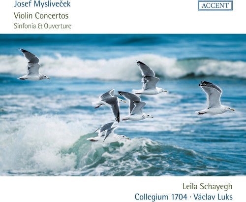 Myslivecek: Violin Concertos / Schayegh, Luks, Collegium 1704