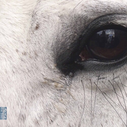 Dlugoszewski: Openings of the Eye / Hashtag Ensemble