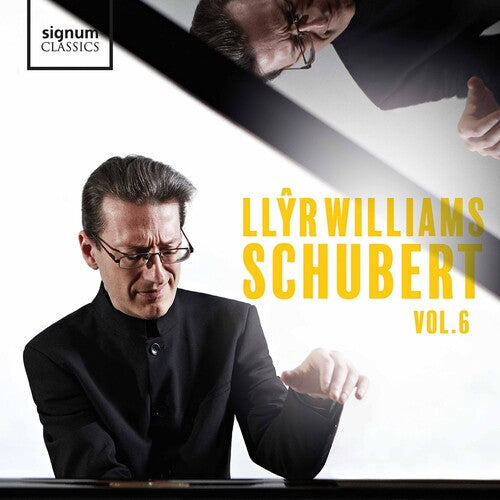 Schubert, Vol. 6 / Llyr Williams