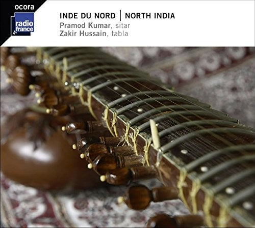 NORTH INDIA: SITAR