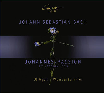 Bach: Johannes-Passion / Aelbgut, Wunderkammer