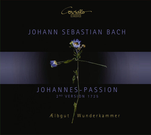 Bach: Johannes-Passion / Aelbgut, Wunderkammer