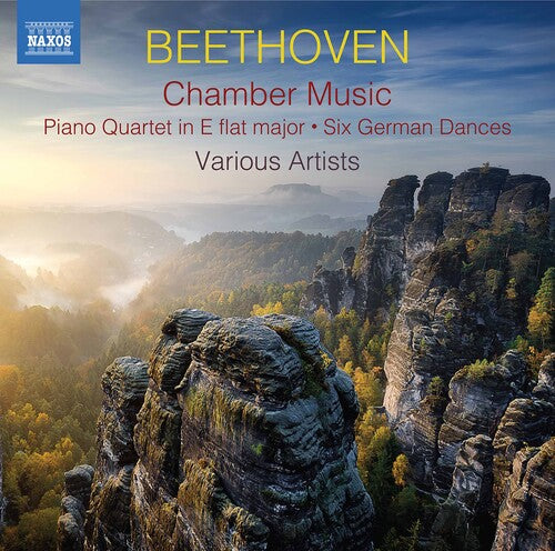 Beethoven: Chamber Music / Various