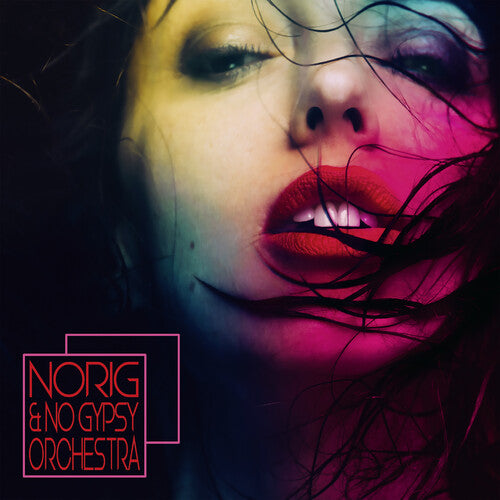 Norig & No Gypsy Orchestra / Various