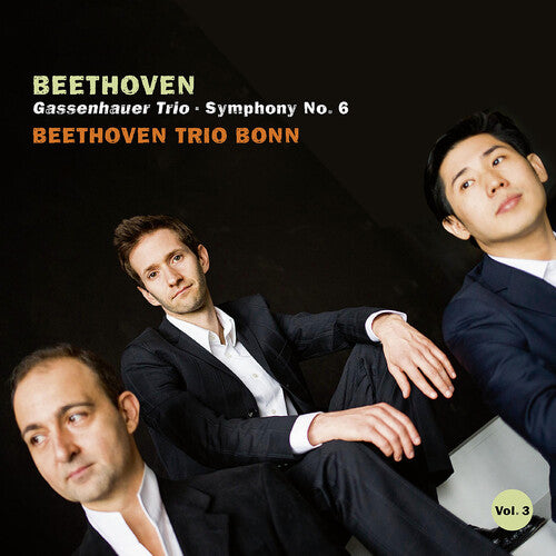 Beethoven:  Gassenhauser Trio, Symphony No. 6