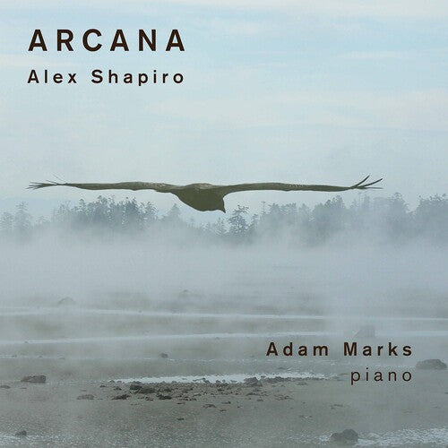 Shapiro: Arcana / Marks