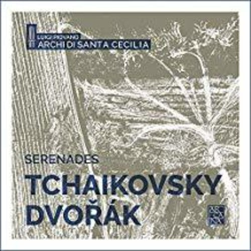 Dvorák - Tchaikovsky: Serenades