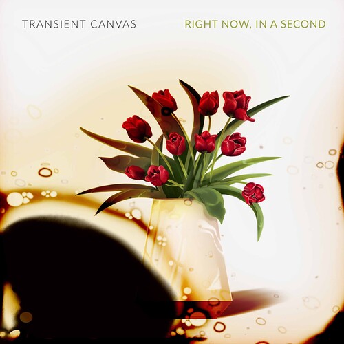 Right Now, In A Second / Transient Canvas