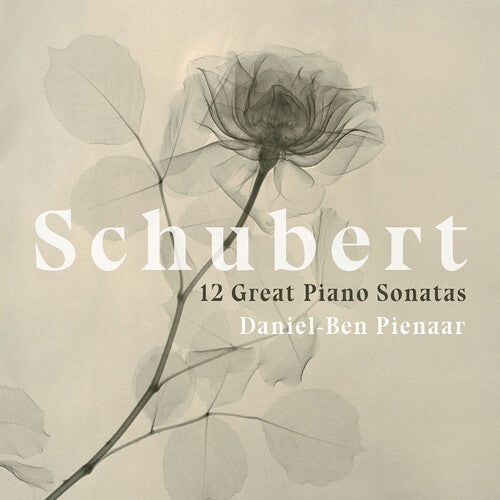 Schubert: 12 Great Piano Sonatas / Pienaar