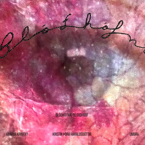 Haraldsdottir: Bloðhofnir / Kristin Haraldsdottir, Umbra Ensemble