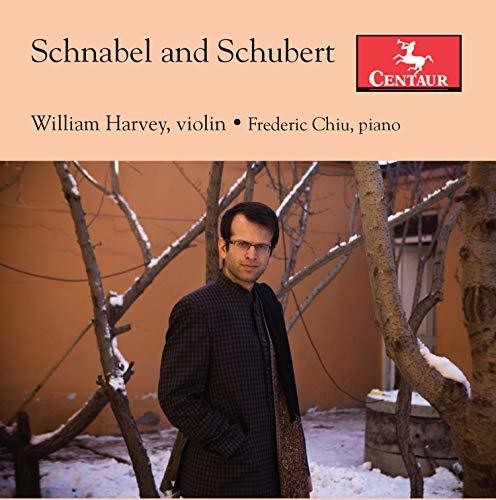 Schnabel & Schubert / Harvey, Chiu
