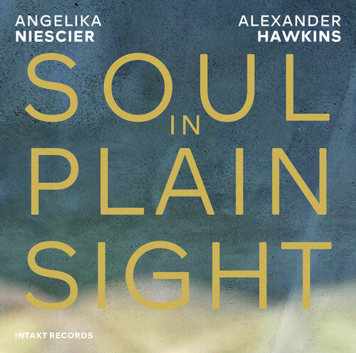 SOUL IN PLAIN SIGHT