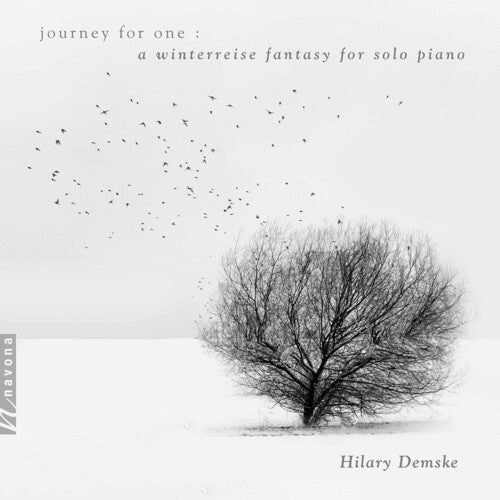 Schubert: Journey for One / Demske