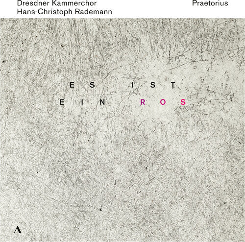 Praetorius: Es ist ein Ros / Rademann, Dresdner Kammerchor