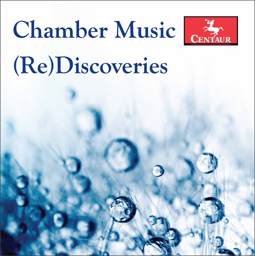 Chamber Music (Re)Discoveries - Music for Flute / Snizek