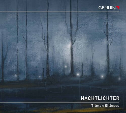 Sillescu: Nachtlichter