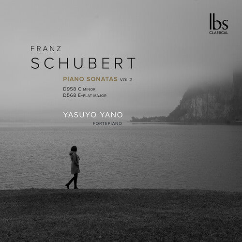 Schubert: Fortepiano Sonatas / Yasuyo