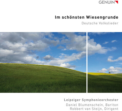 Mendelssohn, Mozart et al.: In the Loveliest Meadow / Blumenshein, van Steijn, Leipzig Symphony Orchestra