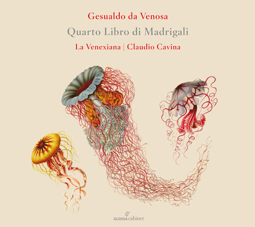 Gesualdo: Quarto Libro di Madrigali / Cavina, La Venexiana