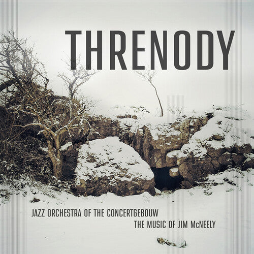 Threnody - Music of Jim McNeely / Jazz Orchestra of the Concertgebouw