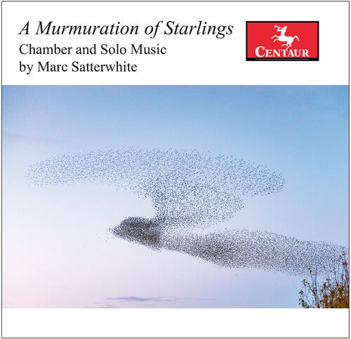 Satterwhite: A Murmuration of Starlings