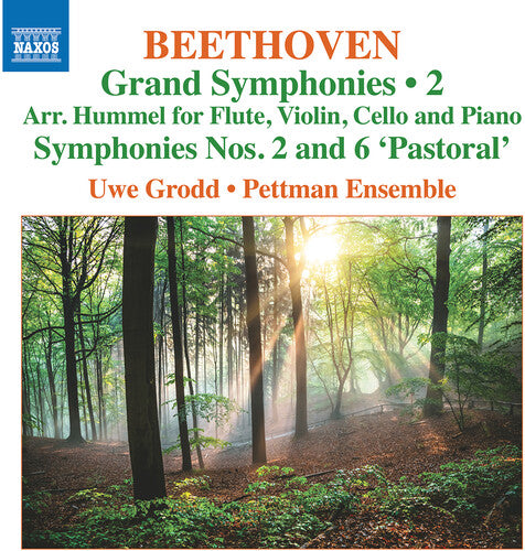 Beethoven: Symphonies vol. 2 - Nos. 2 & 6 (for piano trio & flute) / Grodd, Pettman Ensemble