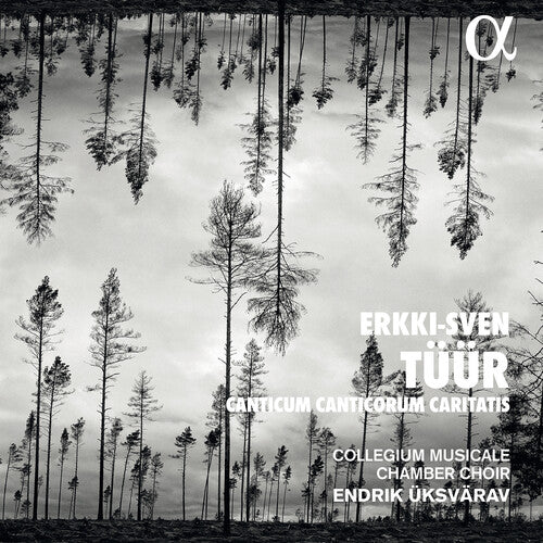 Tüür: Canticum Canticorum Caritatis / Üksvärav, Collegium Musicale Chamber Choir