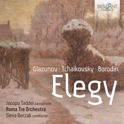 Elegy - String Orchestra Music / Taddei, Borzak, Roma Tre Orchestra