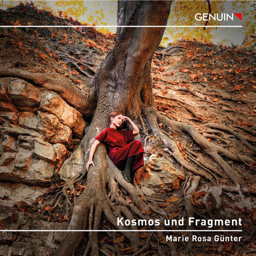 Kallmeyer, Webern & Beethoven: Kosmos und Fragment