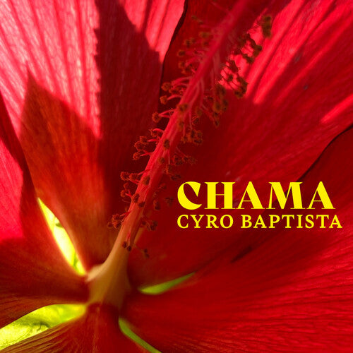 CHAMA