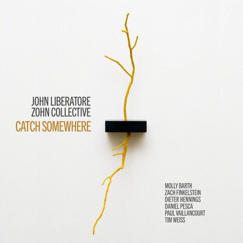 Liberatore: Catch Somewhere / Weiss, Zohn Collective