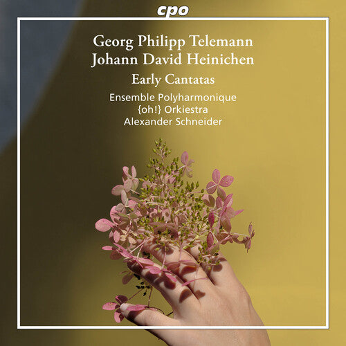 Heinichen & Telemann: Early Cantatas