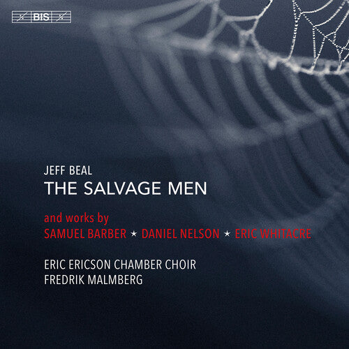 Beal: The Salvage Men