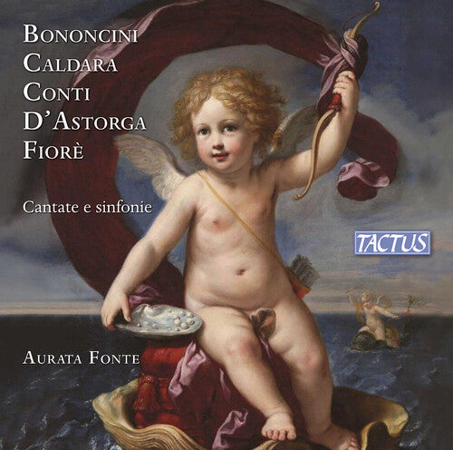 Cantate e sinfonie / Aurata Fonte