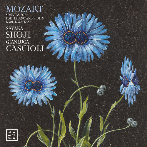 Mozart: Sonatas for Fortepiano & Violin, K301, K378 & K454