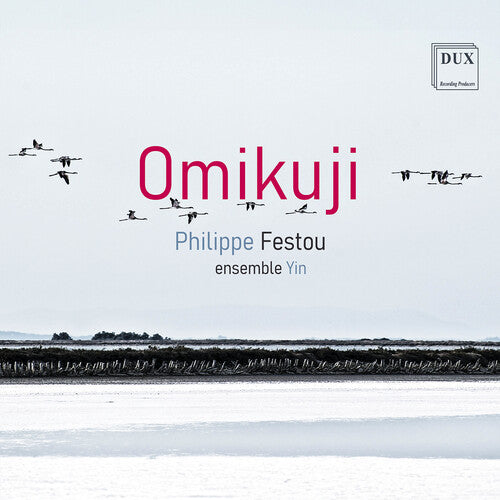 Festou: Omikuji