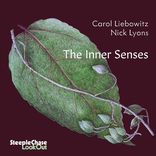The Inner Senses
