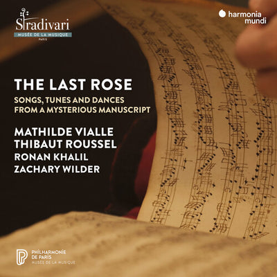 LAST ROSE