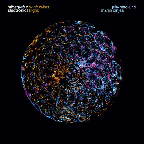 Wind Takes Flight - Hildegard x Electronics