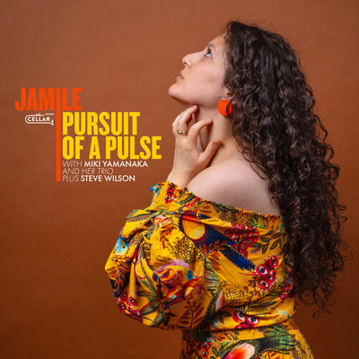 PURSUIT OF A PULSE