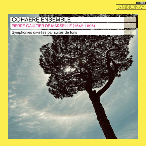 Pierre Gaultier de Marseille: Symphonies divisees par suites