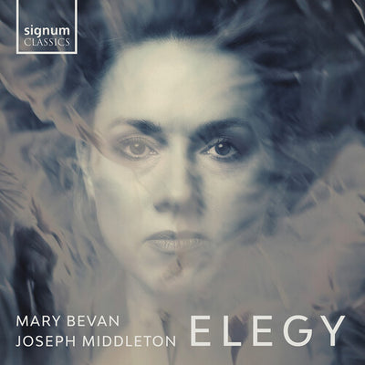 Elegy