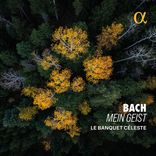 Bach: Mein Geist